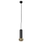 Светильник ARTE LAMP A3147SP-1BK